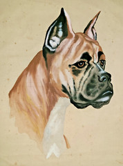 Vtg portrait of boxer dog, hand painted on silk – Japan # AR307