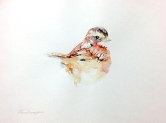 House Sparrow, Birds, Watercolor artwork, Handmade, Original painting on paper