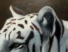Jonathan Truss – Original Oil Painting – A Portrait of Two Tigers.