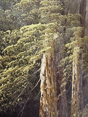 Vintage Mountain Forest Large Landscape Oil Painting Green & Brown Signed+Framed
