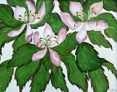 PAINTING WATERCOLOR 11X14 & WHITE MAT 16X20 FLOWER CHERRY BLOSSOM PINK GREEN ART