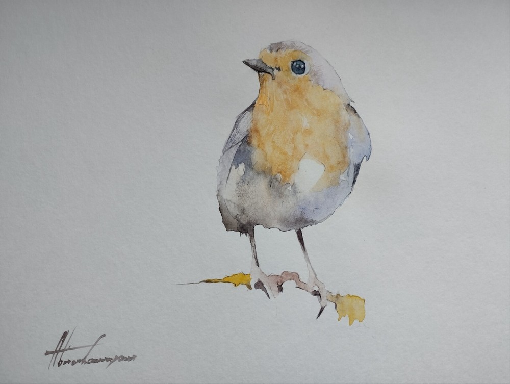 Robin, Birds, Watercolor artwork, Handmade, Original painting on paper