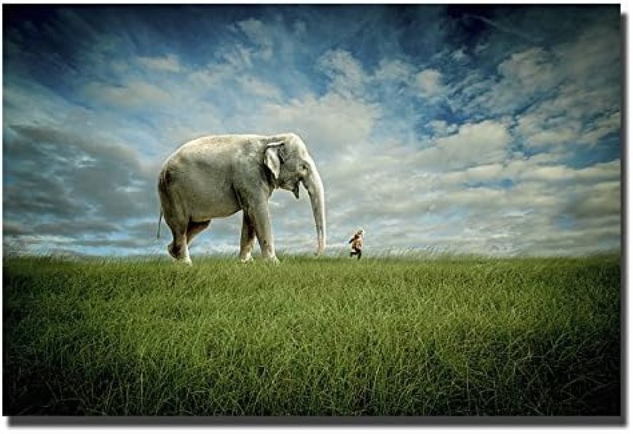 Elephant Follow Me by Madison Gallery-Wrapped Canvas Giclee Art (30 in x 45 in)