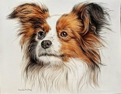 Papillon Dog pet art original Painting home design,pet lover best gift,14×11″