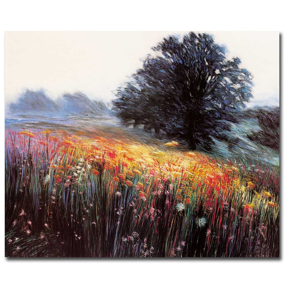 Misty Morning III by Friedman Gallery-Wrap Canvas Giclee Wall Art(19 in x 23 in)