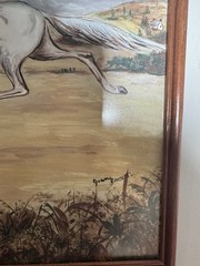 Vintage Equestrian Artwork Joan Brown