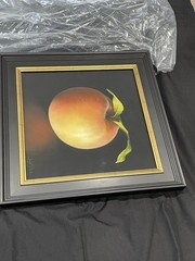 SANGITA PHADKE ORIGINAL PAINTING THE GLOWING PEACH framed pastel collection art