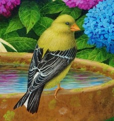 Art, Original, Painting, Goldfinch, Finch, Songbirds, Birds, Wildlife, Flowers