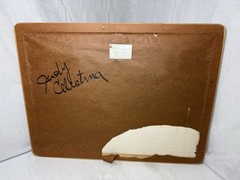 Ostriches in Two Painting Original Watercolor Signed Jung Framed Artwork 1975