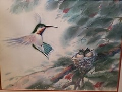 Watercolor Painting Richard E. Williams Artist „The Nest“ Signed Numbered