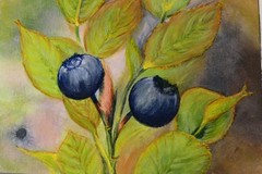 OIL PAINTING ON CANVAS TITLE BLUEBERRIES ARTIST SIGNED C. KNAPP