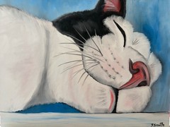 Original oil painting signed 11 x 14 in cute white and black cat sleeping