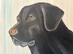 Original oil painting 11 x 14 inches handsome black Labrador retriever dog