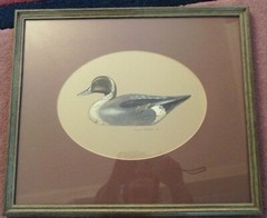 PINTAIL DECOY BY GEORGE SHUMATE VINTAGE ORIGINAL ART 1982 ACRYLIC DUCK HUNTING