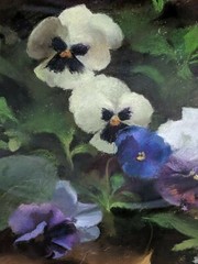 Lindesay Harkness Original 15×13″ Pastel-Canvas Painting „Pansies in the Garden“