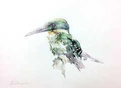 Kingfisher,Birds, Watercolor artwork, Handmade, Original painting on paper