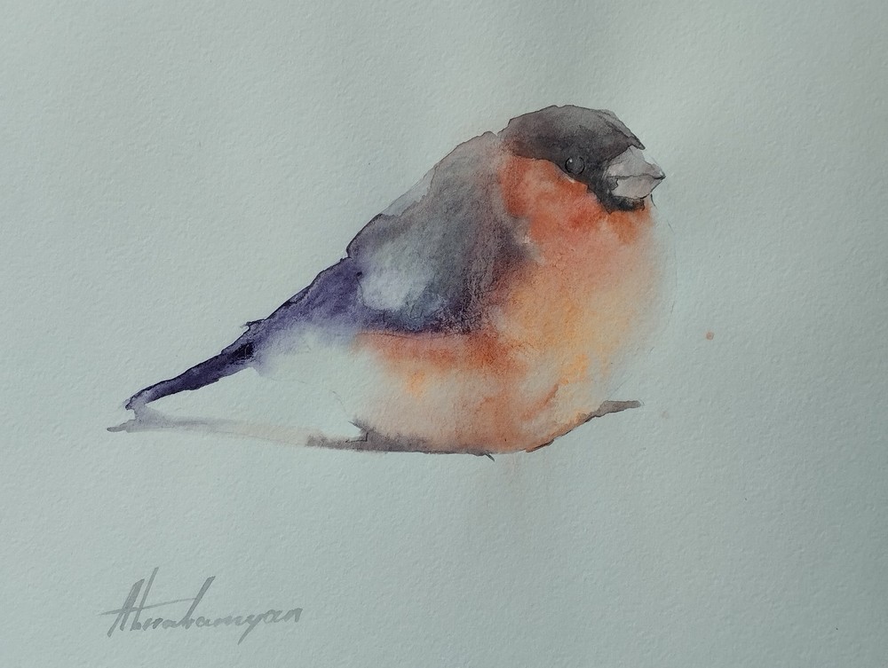 Bullfinch, Birds, Watercolor artwork, Handmade, Original painting on paper