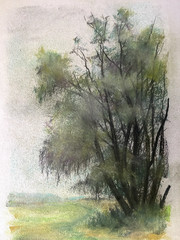 Franz Ehmke 1928 – 2018 Berlin Pastel Freestanding Tree In Field