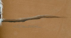 Watercolor – Tempera Painting 2 Birds on Branch, Signed C. Pelzek c1970s-80s