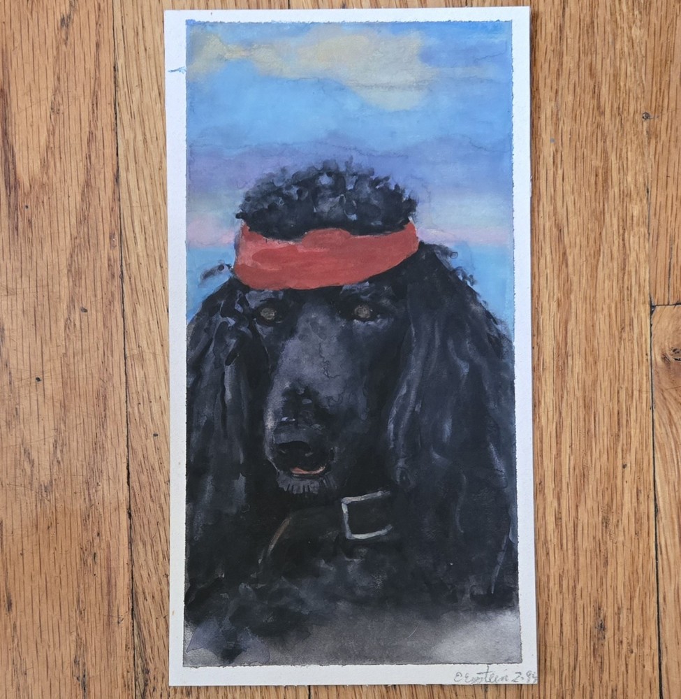 Black Poodle With Red Headband Watercolor Painting Signed E. Epstein 2/99