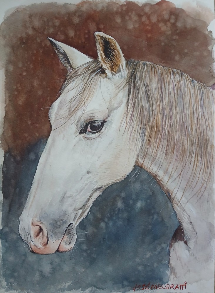ORIGINAL Watercolor Painting “ White Horse “ 8″ X 11″