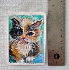 Original aceo painting of a Calico kitten. Watercolor, Ink. 2.5 in x 3.5 in