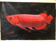 Handpainted Oil Paintings Chinese Fengshui lucky Red Koi carp No Framed 24*36