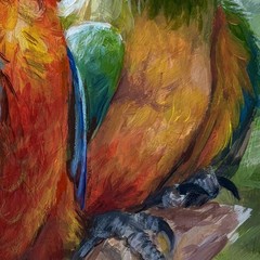 Parrots Original Acrylic Painting Birds Portrait Animals 12×8 inches Ⓣ