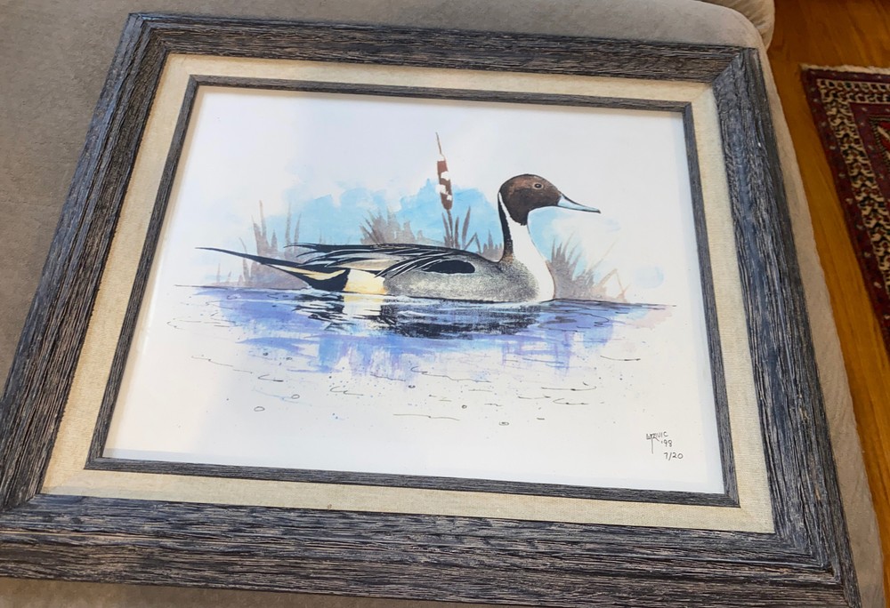Duck “lone Pintail” Print 7/20 Signed 2x William Zivic Western w/ bio