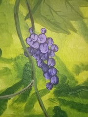 Grapes by Sissy Boo