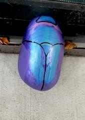 Hand Painted Art “Jewel Flower Beetle ” in Metallic Acrylic on a Rock! 6.5x4x2