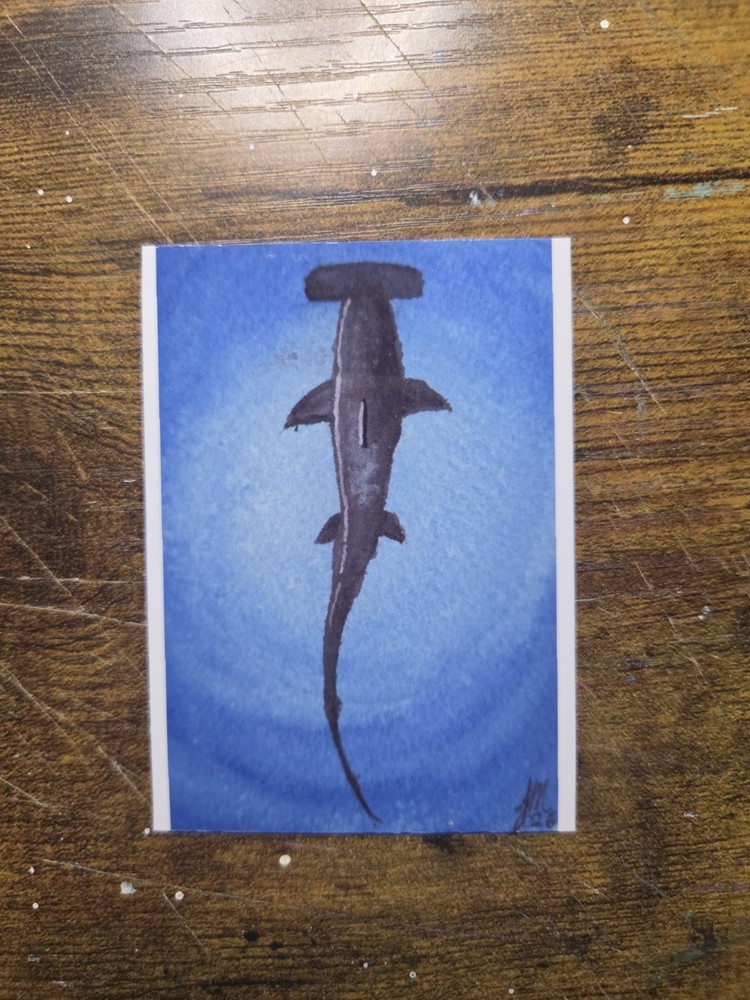 ACEO *Art Print „Hammerhead“ Original Watercolor by El Duderino