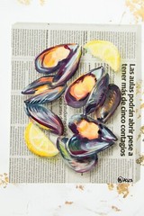 Mussels Painting Shell Oil Original Art Newspaper Oyster Wall Art Retro