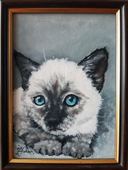 Siamese Cat Original Painting Pet Art Framed 7 x 5 Cat Blue Eyes Oil Painting