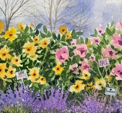 Pamela Wilhelm original 7”x10” Watercolor Lavender Floral Market Pink Yellow