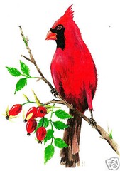 RYTA XMAS CARDINAL BIRD PRINT OF PAINTING 5×7 VINTAGE STYLE FOLK Art Berries 🎄