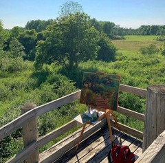 Original Oil Painting, Sunlit Overlook, Midwest Landscape Impressionism 22×26