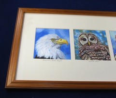 Original Pastel Drawings Framed, American Bald Eagle, Barred Owl, Cooper Hawk