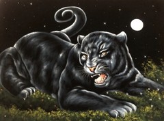 Black Panther Night Feline Cat black velvet oil painting hand painted signed art