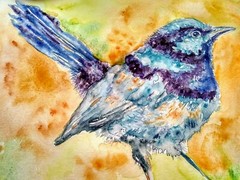 Blue bird art,Original watercolor painting, fairy Wren,nature lover best gift