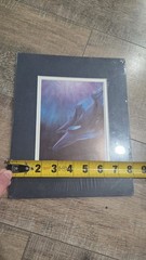 ELIZABETH BURRY HUMPBACK HARMONY EB 353 Image Fusion Inc.