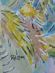 Vivid Desert Blooming Cactus Watercolor & Ink RAMfish Artist 8 1/4″ X 8 3/4″