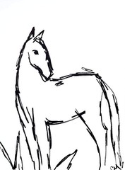 Original Horse 9×12 Acrylic Sketch Minimalist Black White Wall Art Multicolor