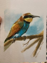 Original watercolor European Bee Eater Bird, 5.25 x 3.75 inches, small painting
