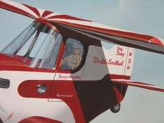 Raymond Waddey Painting Ray Stits SA-2A Sky Baby 1952 Smallest Airplane, 16″x20″