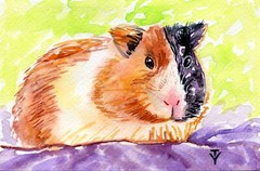 WATERCOLOR Painting ORIGINAL Art Guinea Pig Animal Pet Artwork Wall Art 4×6″