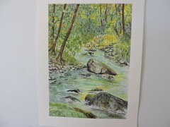 „Forest Stream“, Original Watercolor Painting, 9×12 140 lb Canson Cold Press