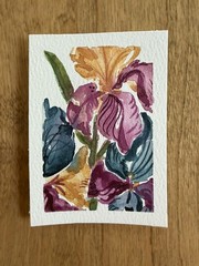 ACEO Original iris flower, abstract botanical illustration floral 2.5×3.5in