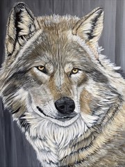 Grey Wolf Art Work On Canvas
