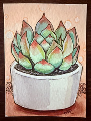 ACEO original OOAK painting, mixed media/watercolor, succulent plant, 2.5×3.5
